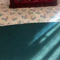 کناره ، پشتی