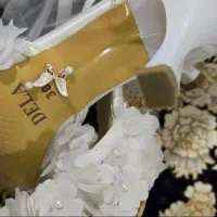 کفش مجلسی|کیف، کفش، کمربند|صحنه, |دیوار