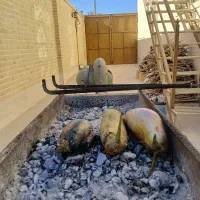 ترشی خانگی و خاص نازخاتون(فروش انواع ترشی)|خوردنی و آشامیدنی|میبد, |دیوار