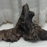 چوب آبنوس اکواریوم