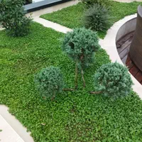 باغبانی ،اجرای فضای سبز،کلاراباد،نمک ابرود|خدمات باغبانی و درختکاری|کلارآباد, |دیوار