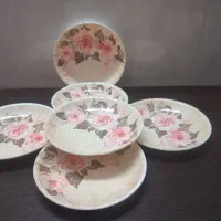 ظرف بشقاب ملامین نو و کارنزده جنس ضخیم