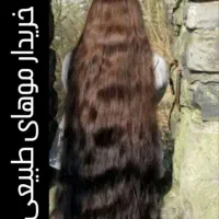 عکس توجه کنید