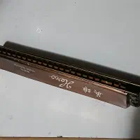 ساز دهنی خوش صدا|سازهای بادی|کرج, شهرک بنفشه|دیوار