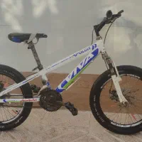 دوچرخه ویوا 20