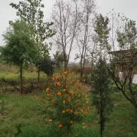 زمین قابل ساخت وساز