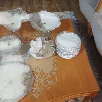 سرویس رزین ۱۸ نفره