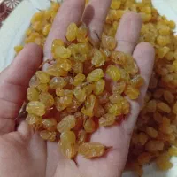 کشمش طلایی|خوردنی و آشامیدنی|فاروج, |دیوار