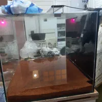 آکواریوم فروشی|ماهی|بندرعباس, |دیوار