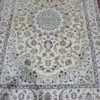 دوعدد ۶ متری و یه قالیچه گرد|فرش|دامغان, |دیوار