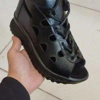 فروش عمده صندل