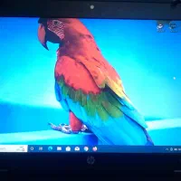 لپتاپ hp probook 6470b|رایانه همراه|قم, شاه سید علی|دیوار