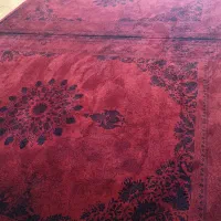 فرش 9 متری نگین|فرش|گرگان, |دیوار