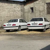 پژو پارس سفارشی xu7p
