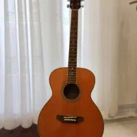 گیتار آکوستیک پائوچیو