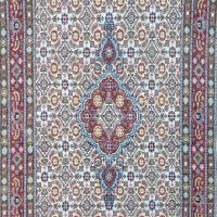 فرش دستبافت|فرش|بیرجند, |دیوار