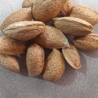 بادام نو|خوردنی و آشامیدنی|شیراز, بعثت|دیوار