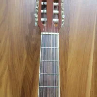 گیتار دیوایزر نو|گیتار، بیس، امپلیفایر|قم, چهل درخت|دیوار