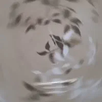 نقاشی ساختمان سوله|خدمات پیشه و مهارت|اشکذر, |دیوار