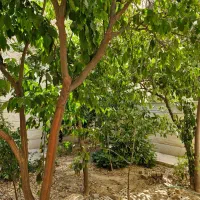 سه خوابه مستردارتک واحدی،دوبرنور،سیمتری سینما سعدی|فروش آپارتمان|شیراز, سینما سعدی|دیوار