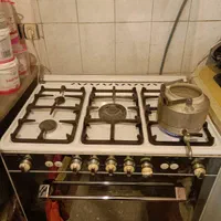 گاز فردار سونیا سالم و تمیز دو جوجه گردان