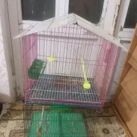 قفس در حد نو