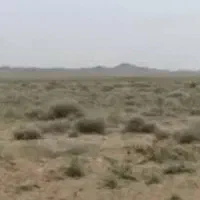 زمین بایر  تسوج