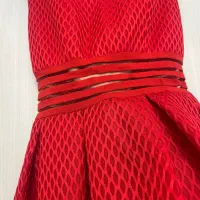 لباس مجلسی|لباس|ساری, |دیوار