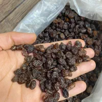 کشمش بیدانه آفتابی پلوئی