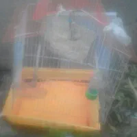 فروش قفس پرنده