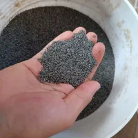 بذر کشاورزی