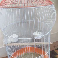 قفس سالم درحدنو و چهارپایه نو نو|لوازم جانبی حیوانات|اصفهان, جاوان|دیوار