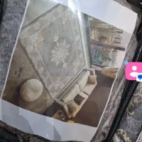 روفرشی کشی   دارجدید|روفرشی|شیروان (خراسان), |دیوار