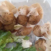 فروش حلزون پرورشی خانگی
