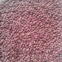 لوبیا قرمز بوجاری شده|خوردنی و آشامیدنی|ایجرود, |دیوار