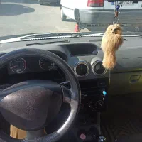 پرایدوانت بی رنگ پلمپ|خودرو سواری و وانت|نظرآباد, رسالت|دیوار