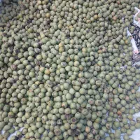 گردو درجه یک|خوردنی و آشامیدنی|تهران, فرحزاد|دیوار