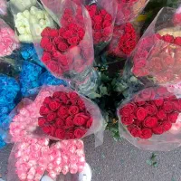 گل داوودی و رز هلندی و گلایل|گل و گیاه طبیعی|ری, بازار گل خاوران|دیوار
