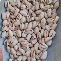 پسته اکبری اجیلی انس ۲۴ درشت