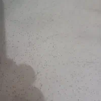 کارگر و نگهبان گاوداری