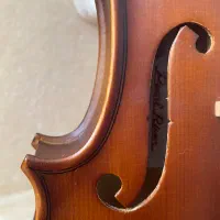 ویالون Pearl river