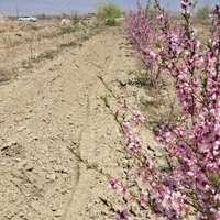 زمین حاشیه جاده/تهاتر /معاوضه|فروش زمین و ملک کلنگی|گلبهار, نوبهار|دیوار