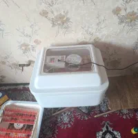 دستگاه جوجه کشی ایزی باتور 1