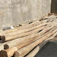 خرید و فروش انواع چوب و تخته چوب وچنار سقفی|عمدهفروشی|کوزران, |دیوار