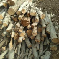 برش درخت خرید چوب هرس درخت