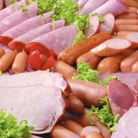 استخدام نیرو شرکت پروتئینی