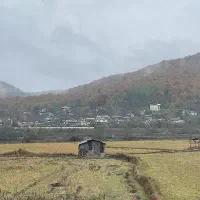 زمین کشاورزی در دولت اباد. هوجقان . ابرغان . بناب