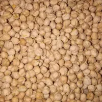 نخود کرمانشاه