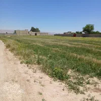 زمین ۲۵۰ متری شهرک دودمان