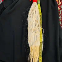 زال اسینم(موطلایی وزال)